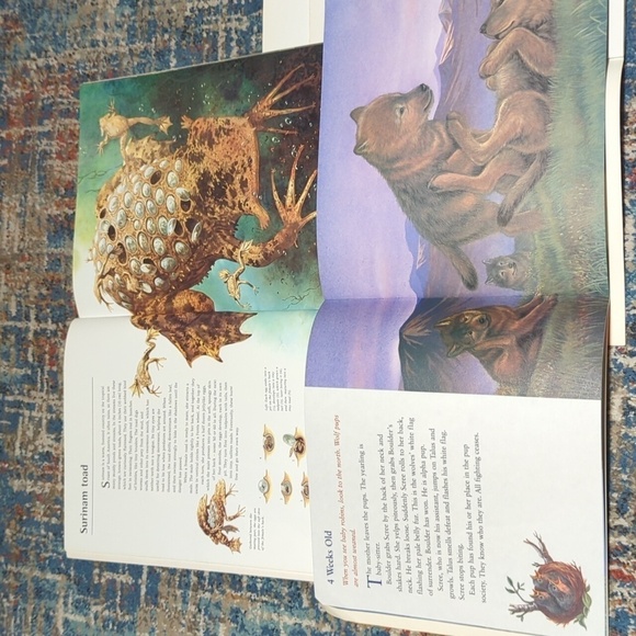 Scholastic Non Fiction Book Set of 5 PB Books Baby Animals My Puppy is Born - Picture 8 of 10